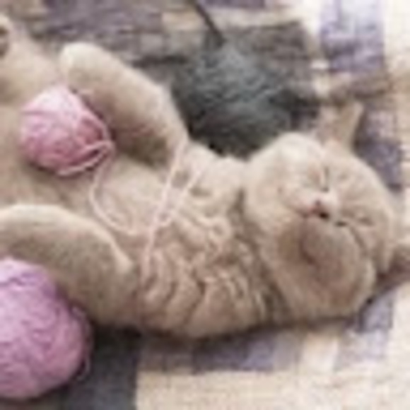 Meet your Posher, Aisha - Picture 1 of 1